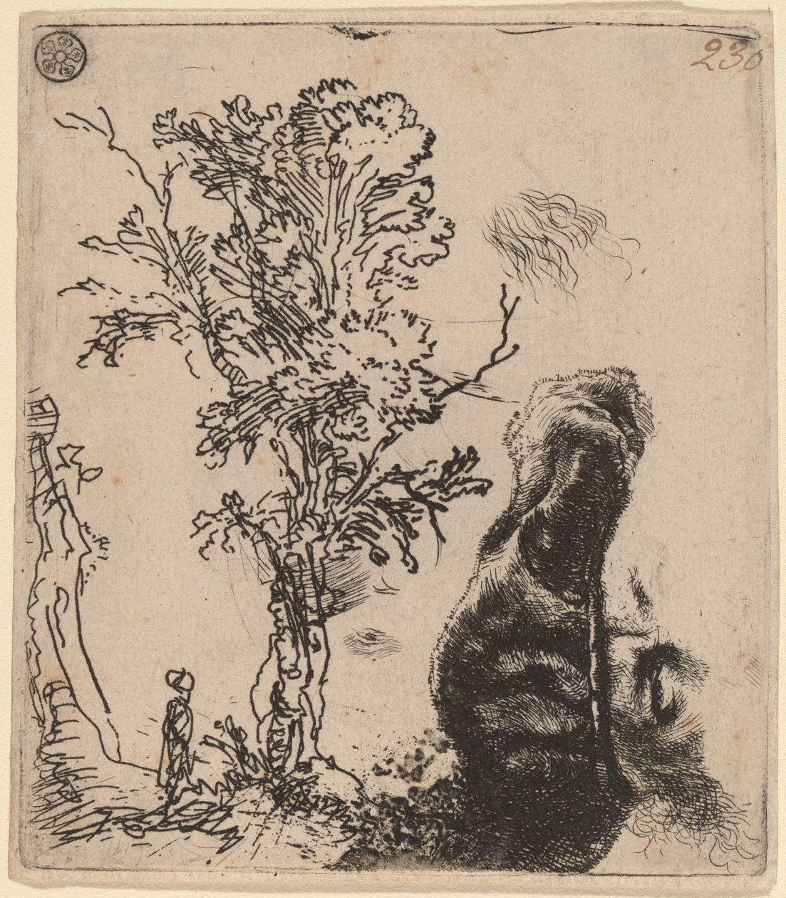 Ark med to studier: et tre og den øvre delen av et hode til kunstneren som har på seg en fløyelshatt av Rembrandt van Rijn