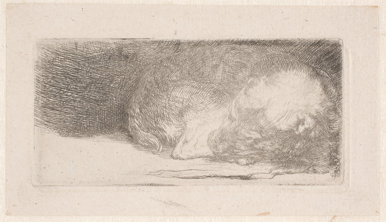 Sovende valp av Rembrandt van Rijn