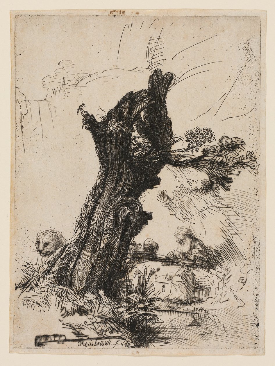 St. Jerome ved siden av en Pollard Willow av Rembrandt van Rijn