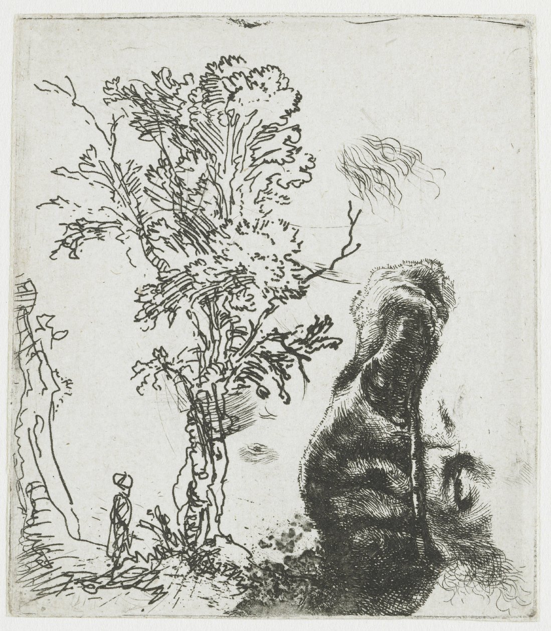 Tegning med et tre og den øverste delen av Rembrandts hode med barett av Rembrandt van Rijn