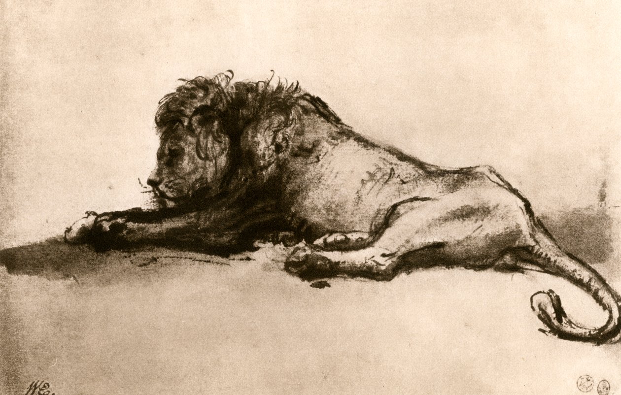 Studie av en løve, 1913. av Rembrandt van Rijn