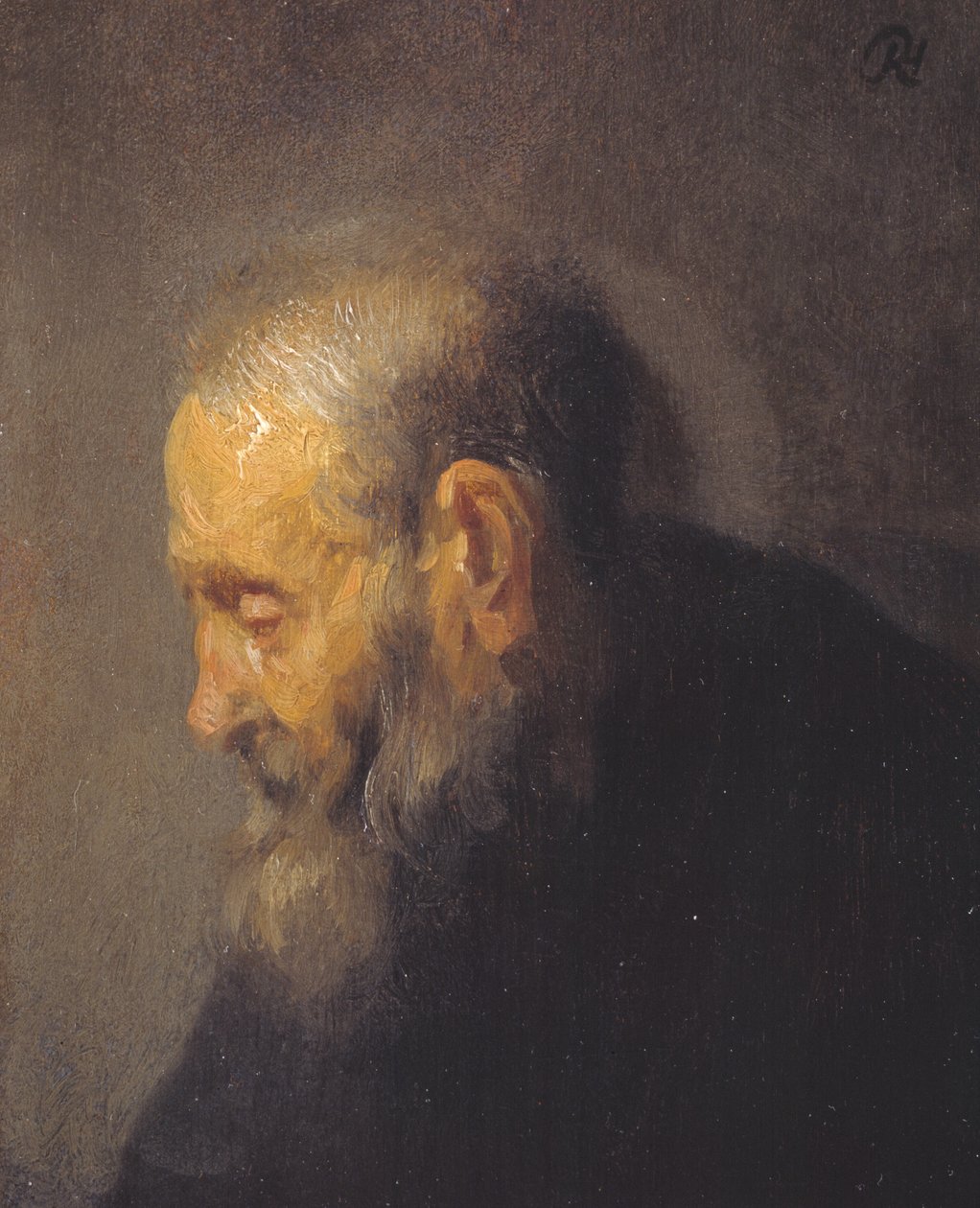 Studie av en gammel mann i profil av Rembrandt van Rijn