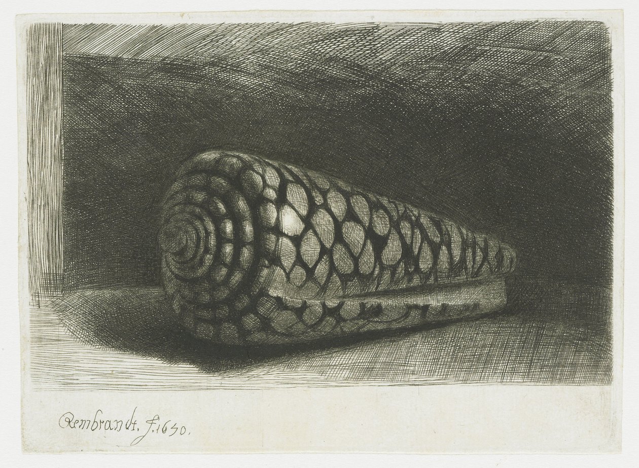 Skallet av Rembrandt van Rijn
