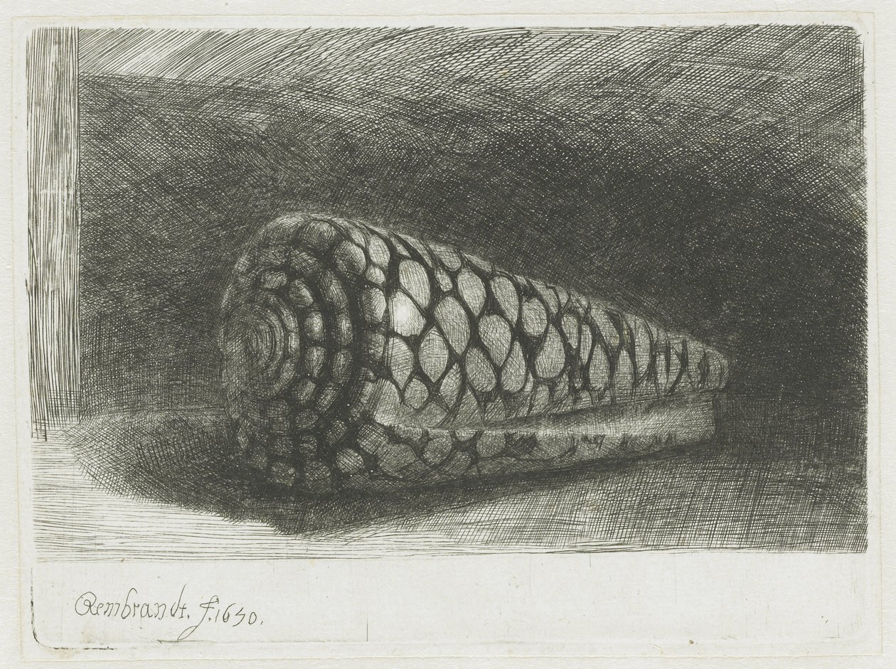 Skallet av Rembrandt van Rijn