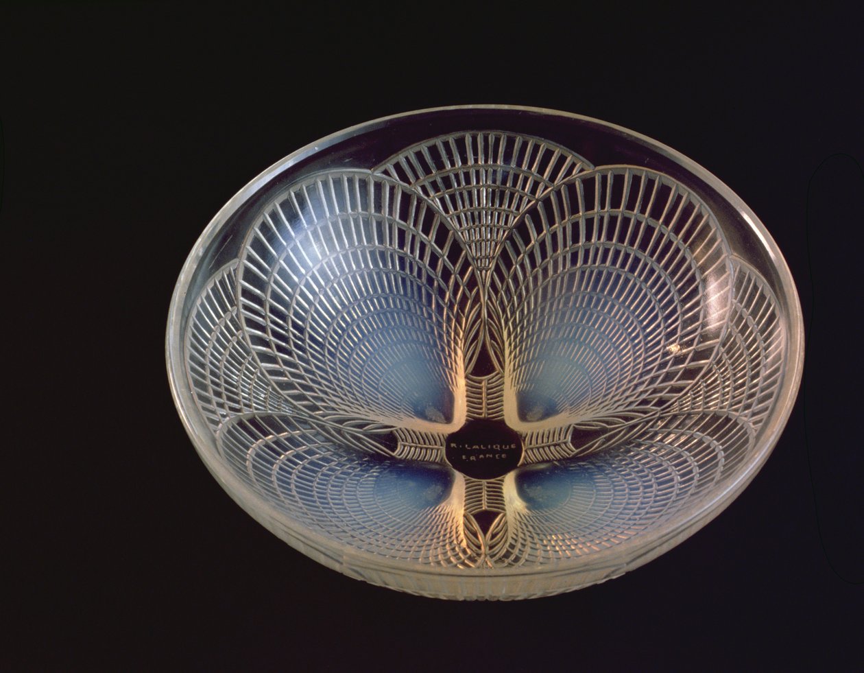 Coquilles, en opaliserende glassvase støpt med overliggende kamskjellskall av Lalique av Rene Jules Lalique