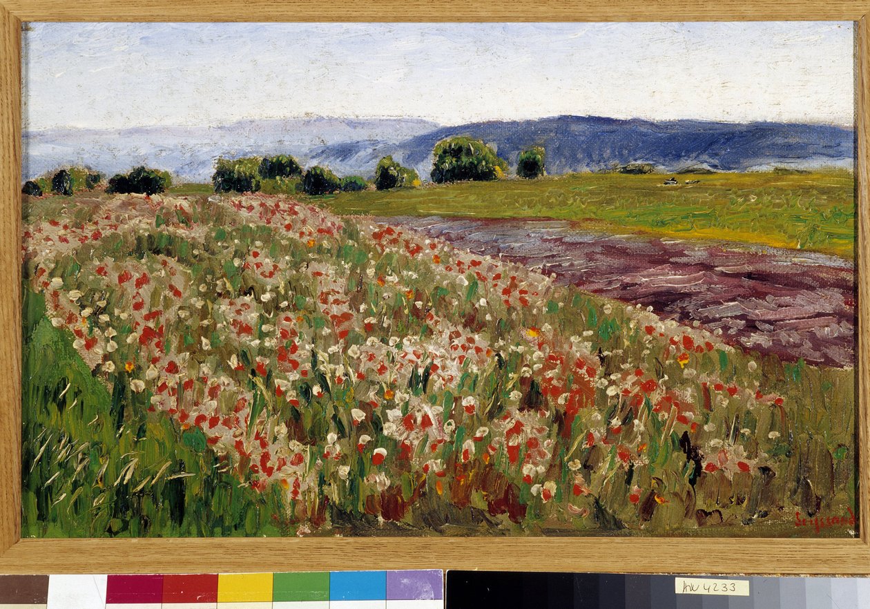 Valmuefeltet (maleri) av Rene Auguste Seyssaud