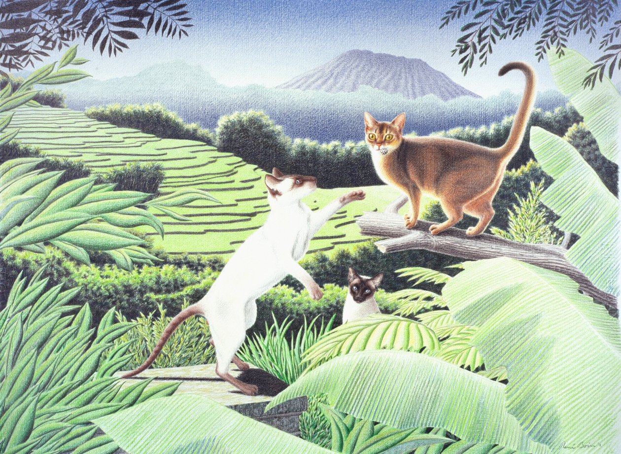 Bali, 2002, Fargeblyanttegning på papir av Rene Boin
