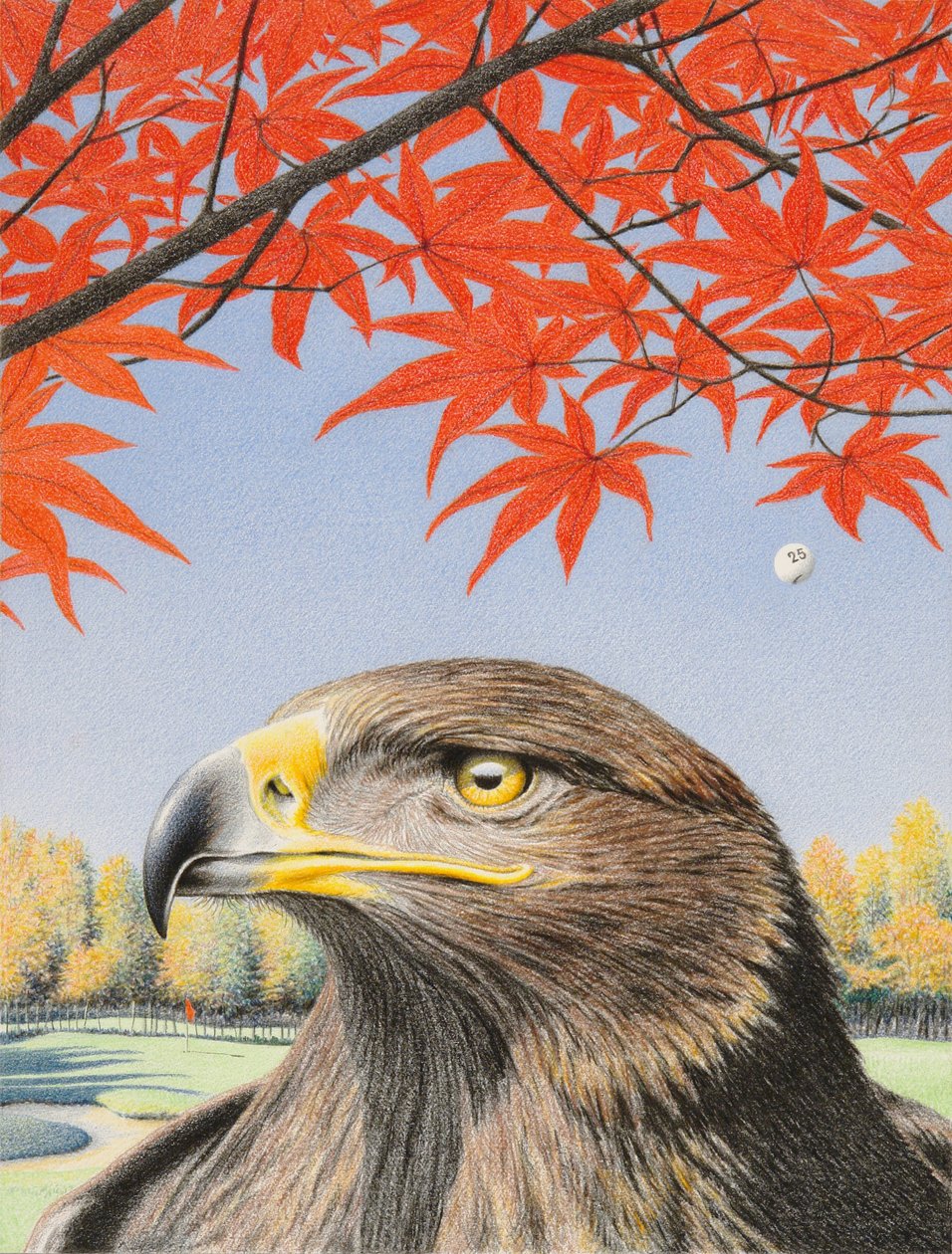 Eagle, 2015, Fargeblyanttegning på papir av Rene Boin