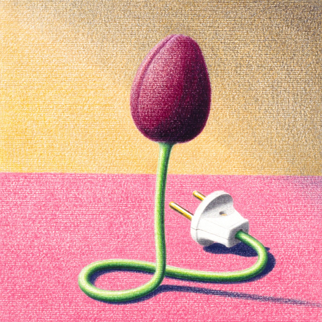 Elektrisk Tulipan av Rene Boin