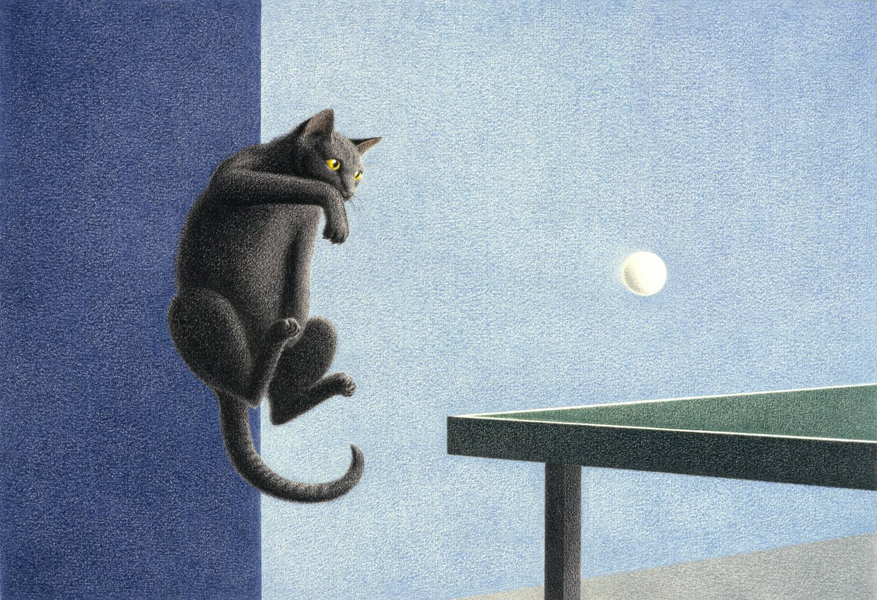 bordtennis av Rene Boin