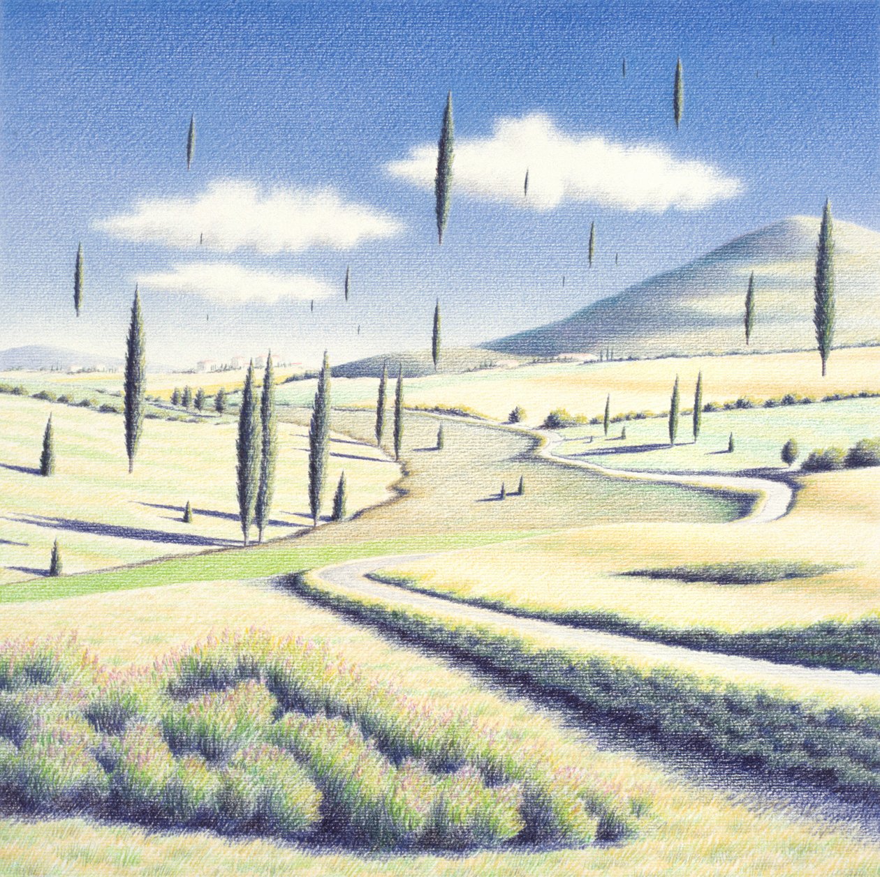 Tuscan trees, 2005 , Fargeblyanttegning på papir av Rene Boin