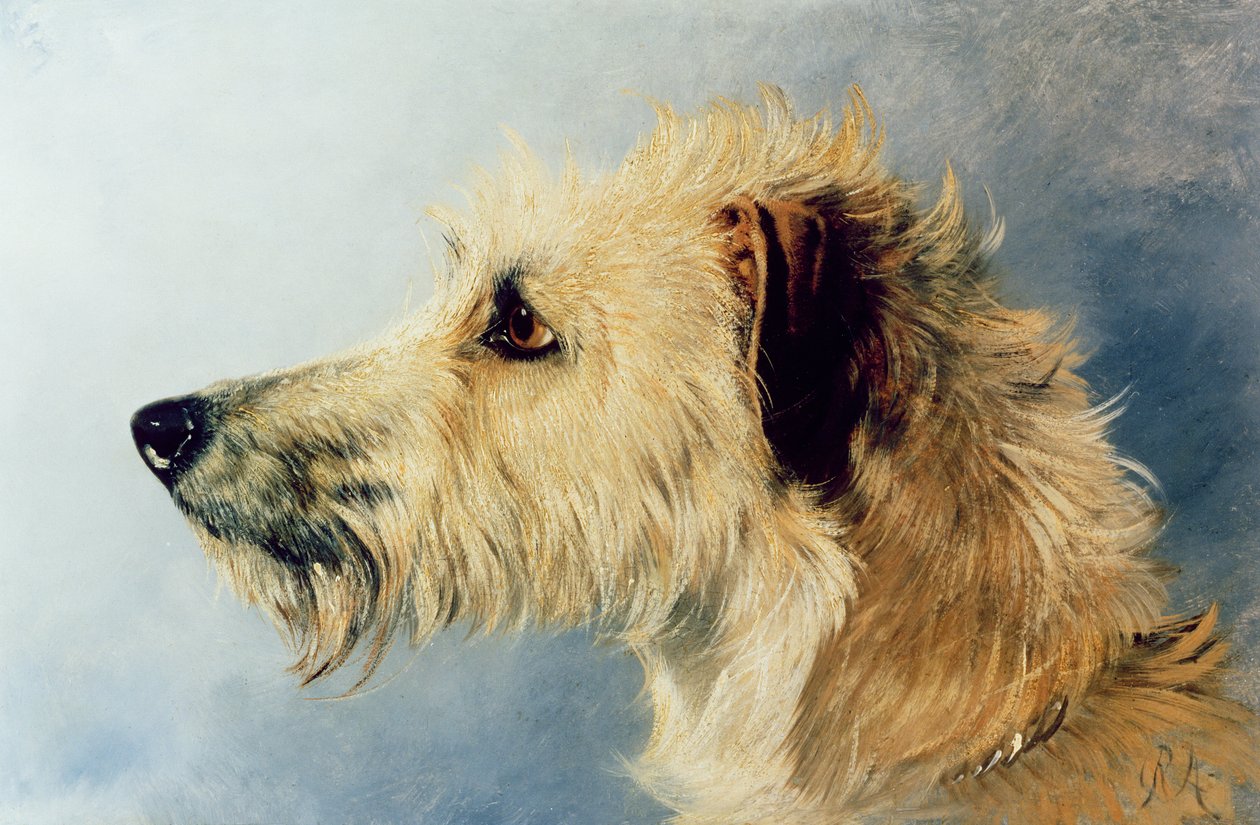 Hodet til en hund av Richard Ansdell