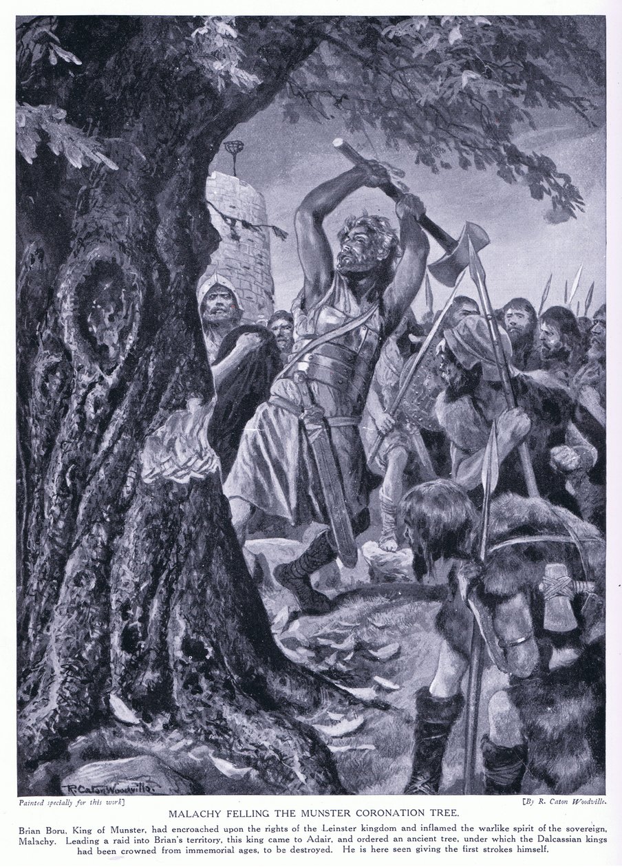 Malchy feller Munster Coronation-treet, 1920-tallet av Richard Caton Woodville junior