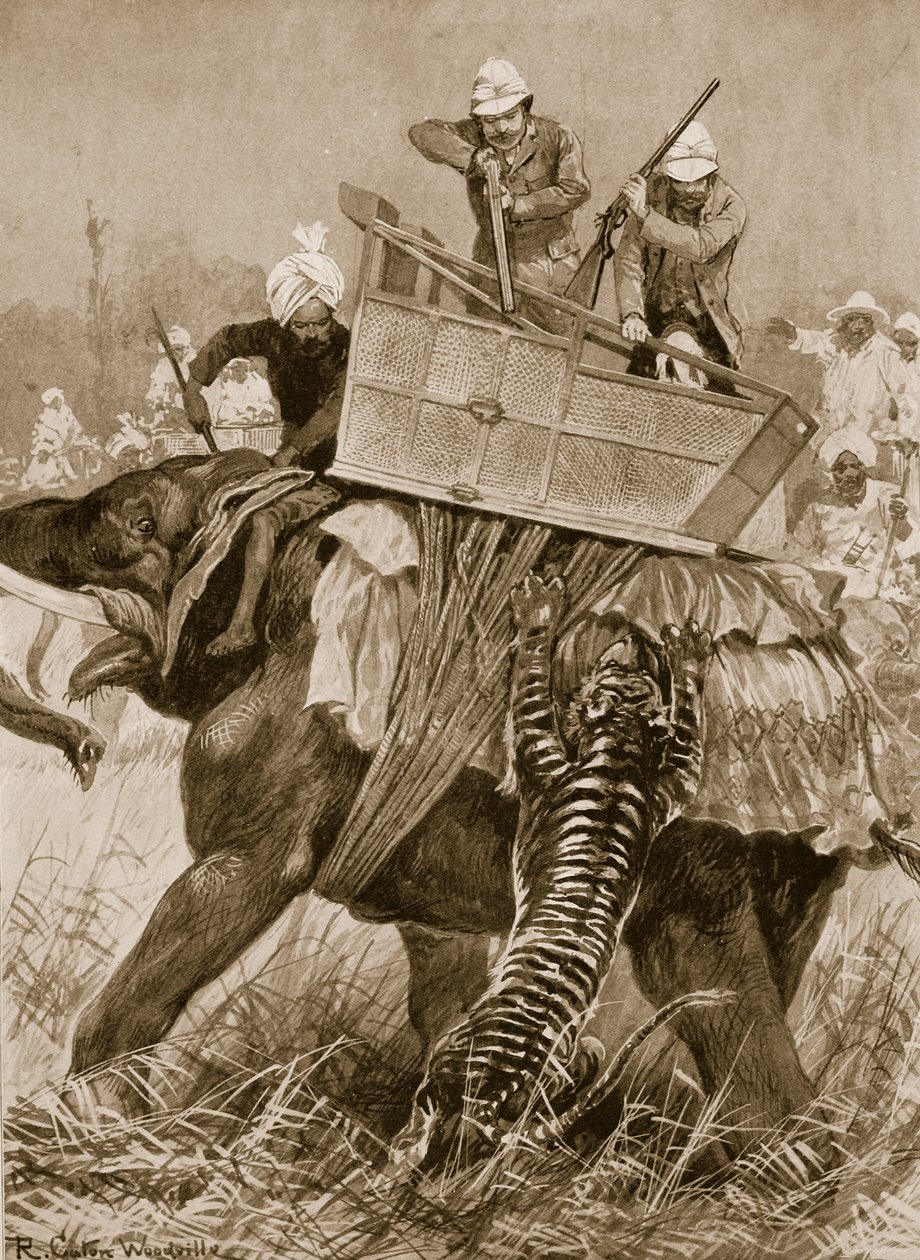 Prinsen av Wales besøk i India, 1876: Prinsens elefant ladet opp av en tiger i Nepaul Terai, 21. februar fra 