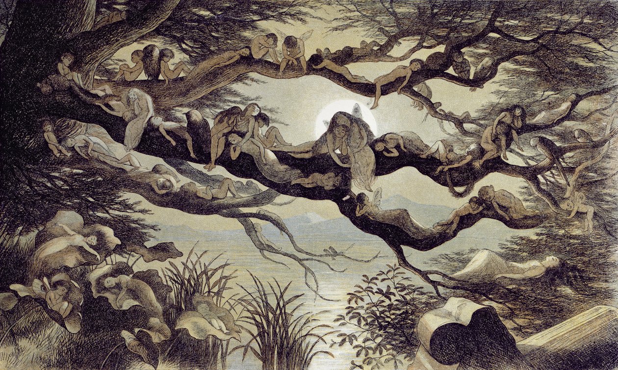 Sover i måneskinnet av Richard Doyle