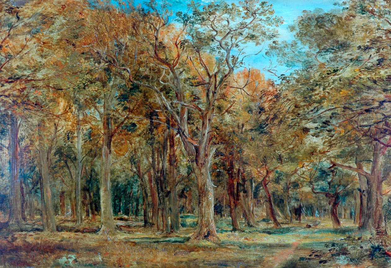 Sherwood-skogen av Richard Sebastian Bond