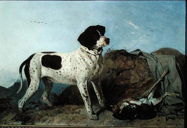 Old Jack - A Pointer (olje på lerret) av Richard Ansdell