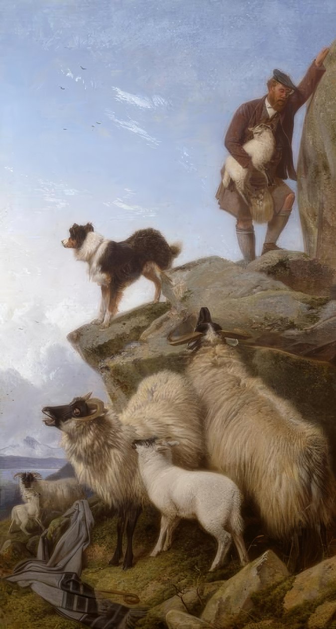 R.Ansdell, The Stray Sheep / maleri, 1868 av Richard Ansdell