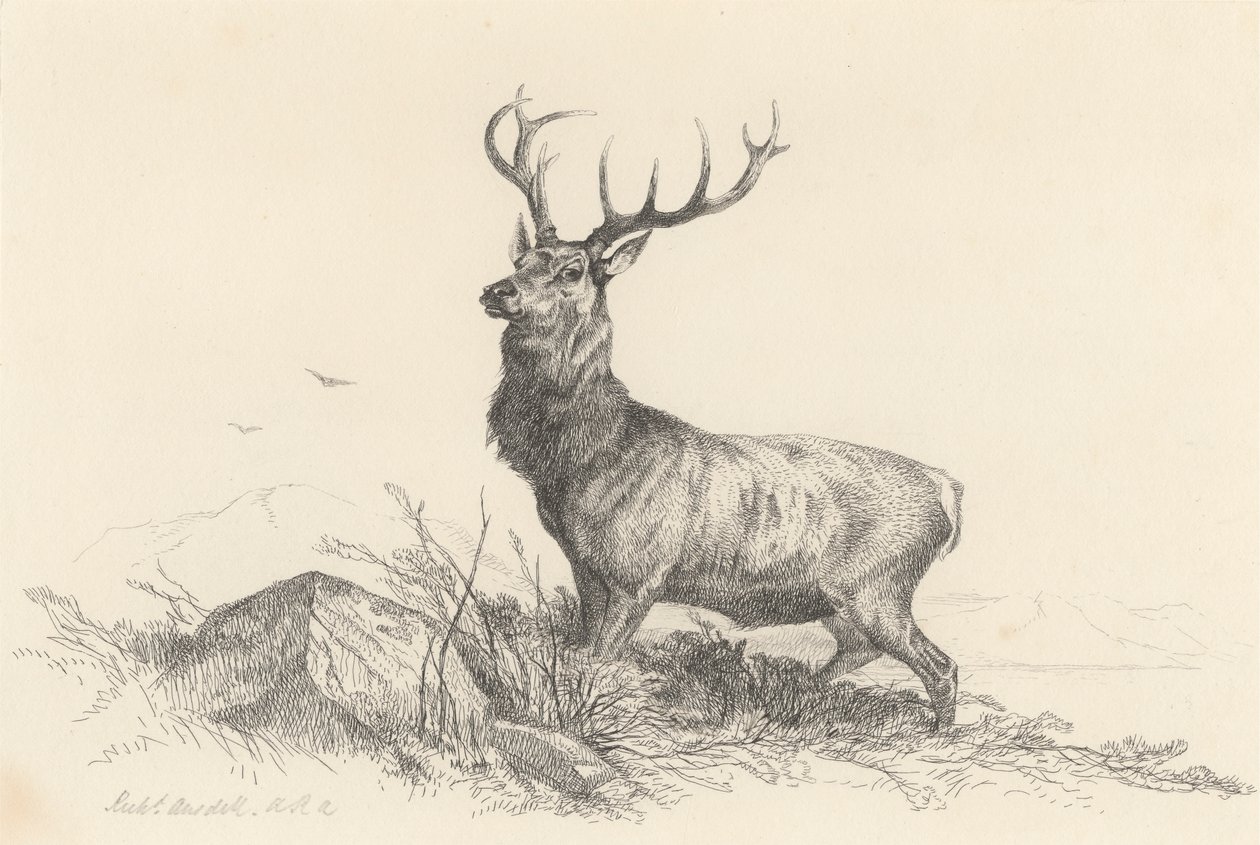 Sentinelen av Richard Ansdell