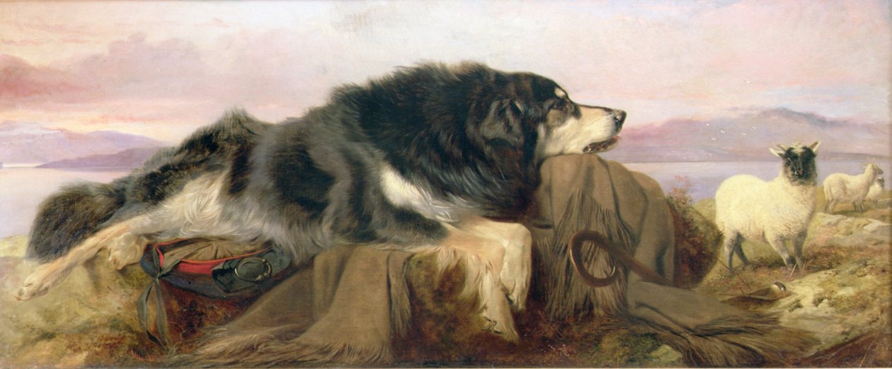 Gjeterens hund av Richard Ansdell