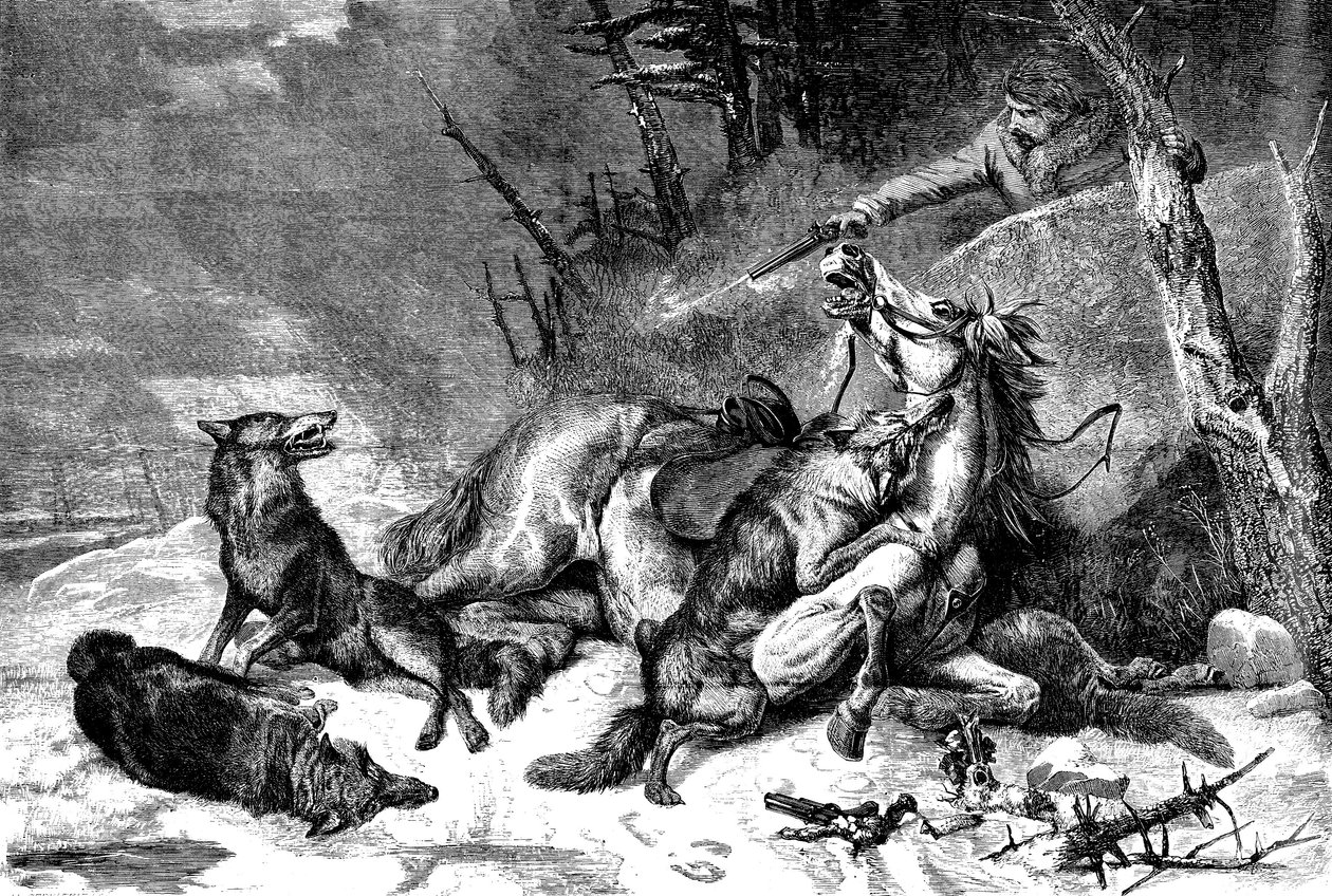 Reisende på hesteryggen angrepet av en ulveflokk av Richard Ansdell