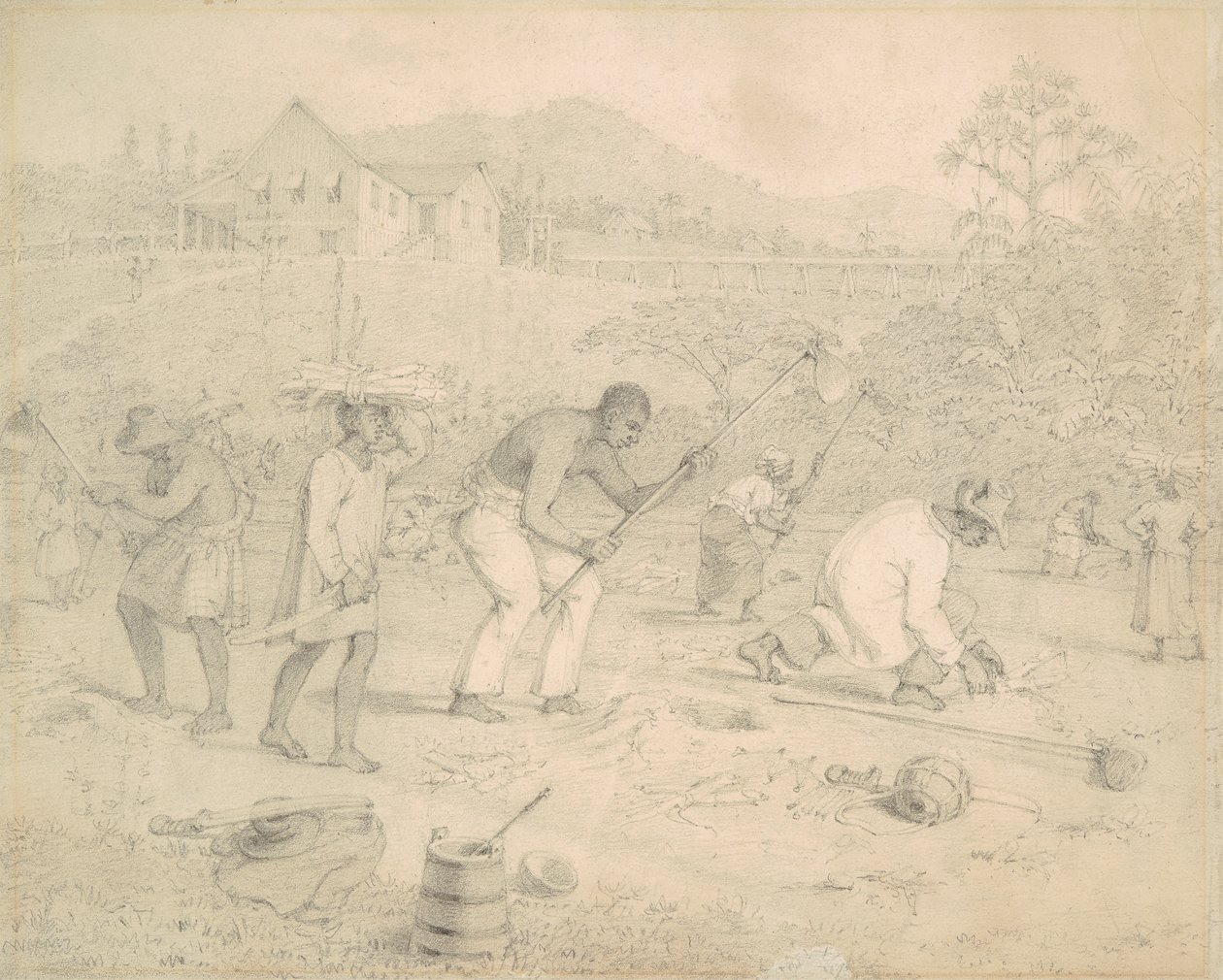 Planting av sukkerrør (Trinidad) av Richard Bridgens