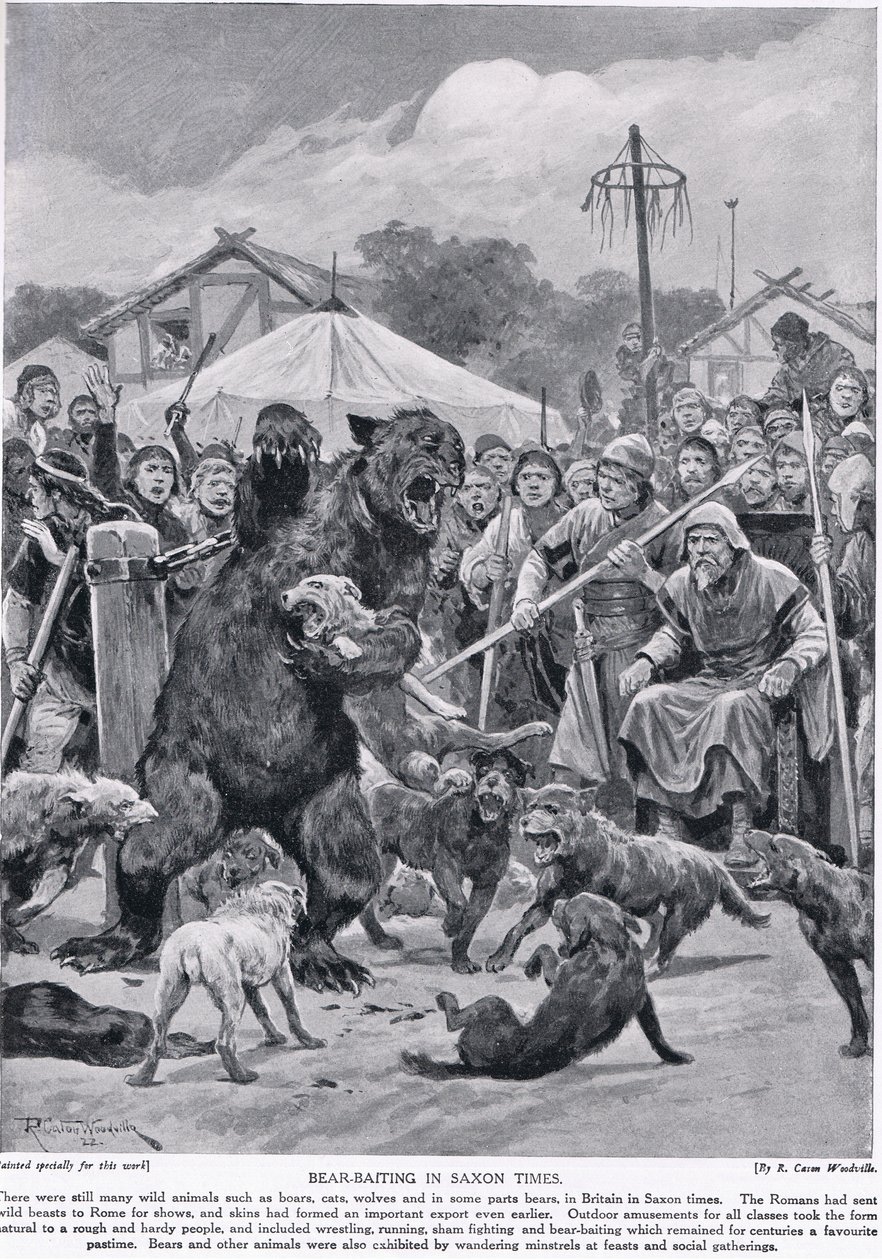 Bjørn som lokker i saksisk tid, fra 'Hutchison's Story of the British Nation', ca. 1920 av Richard Caton Woodville