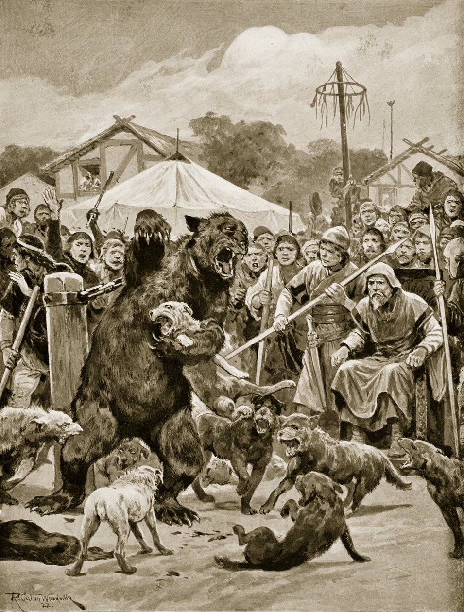 Bear Baiting i Saxon Times, illustrasjon fra 