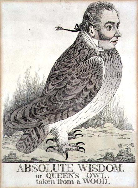 Absolutt visdom eller Queens Owl hentet fra et tre (gravering) av Richard Dighton