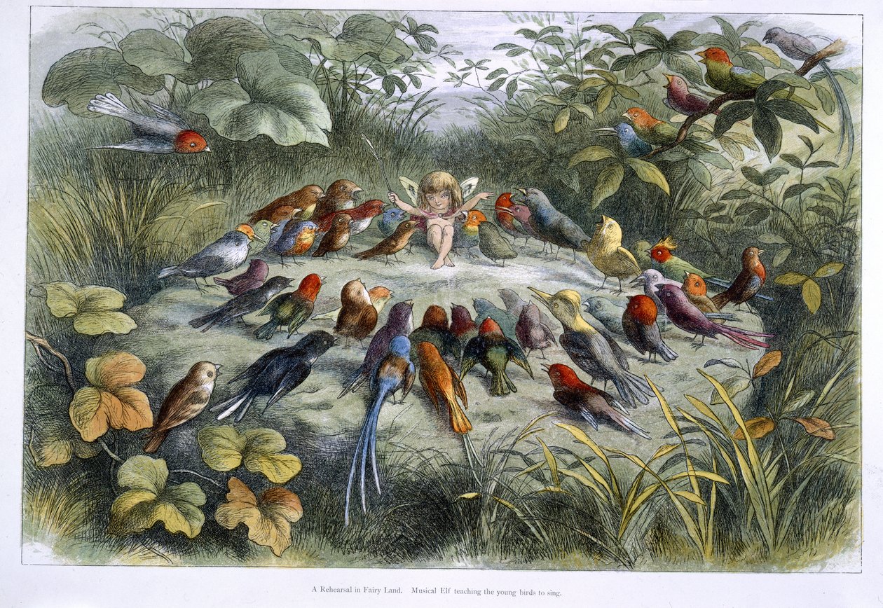 En alv og fugler av Richard Doyle