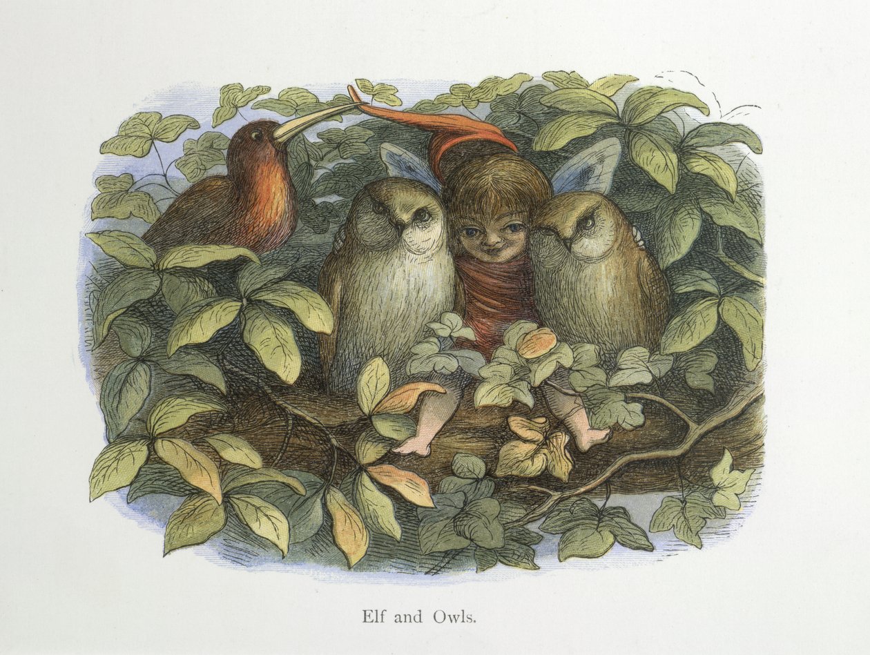 Alv og ugler av Richard Doyle