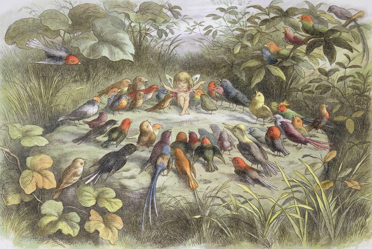 Musikkøvelse i eventyrland (illustrasjon fra quot;In fairy land. Pictures from the fairy worldquot;, av William Allingham og Andrew Lang av Richard Doyle