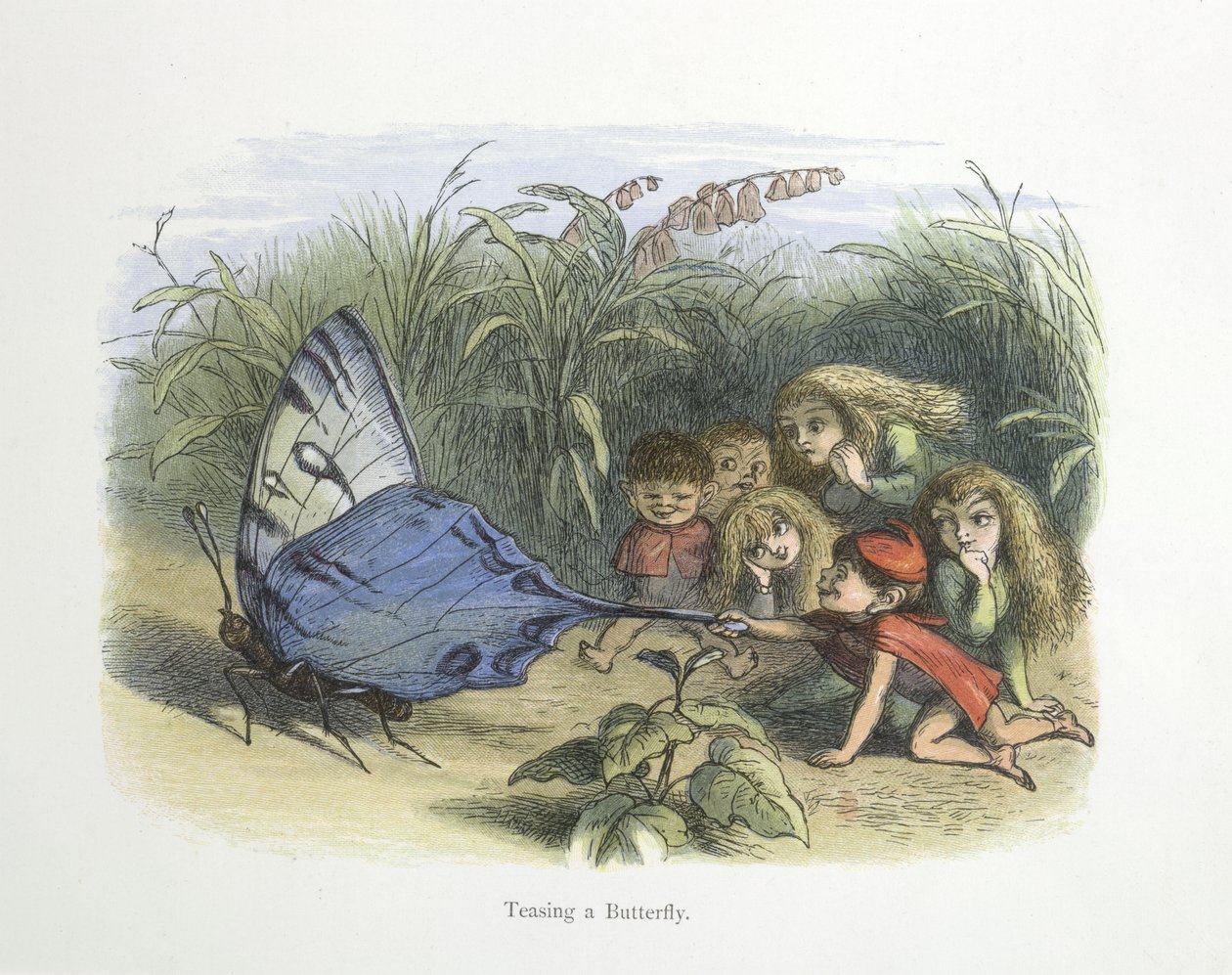 Erter en sommerfugl av Richard Doyle