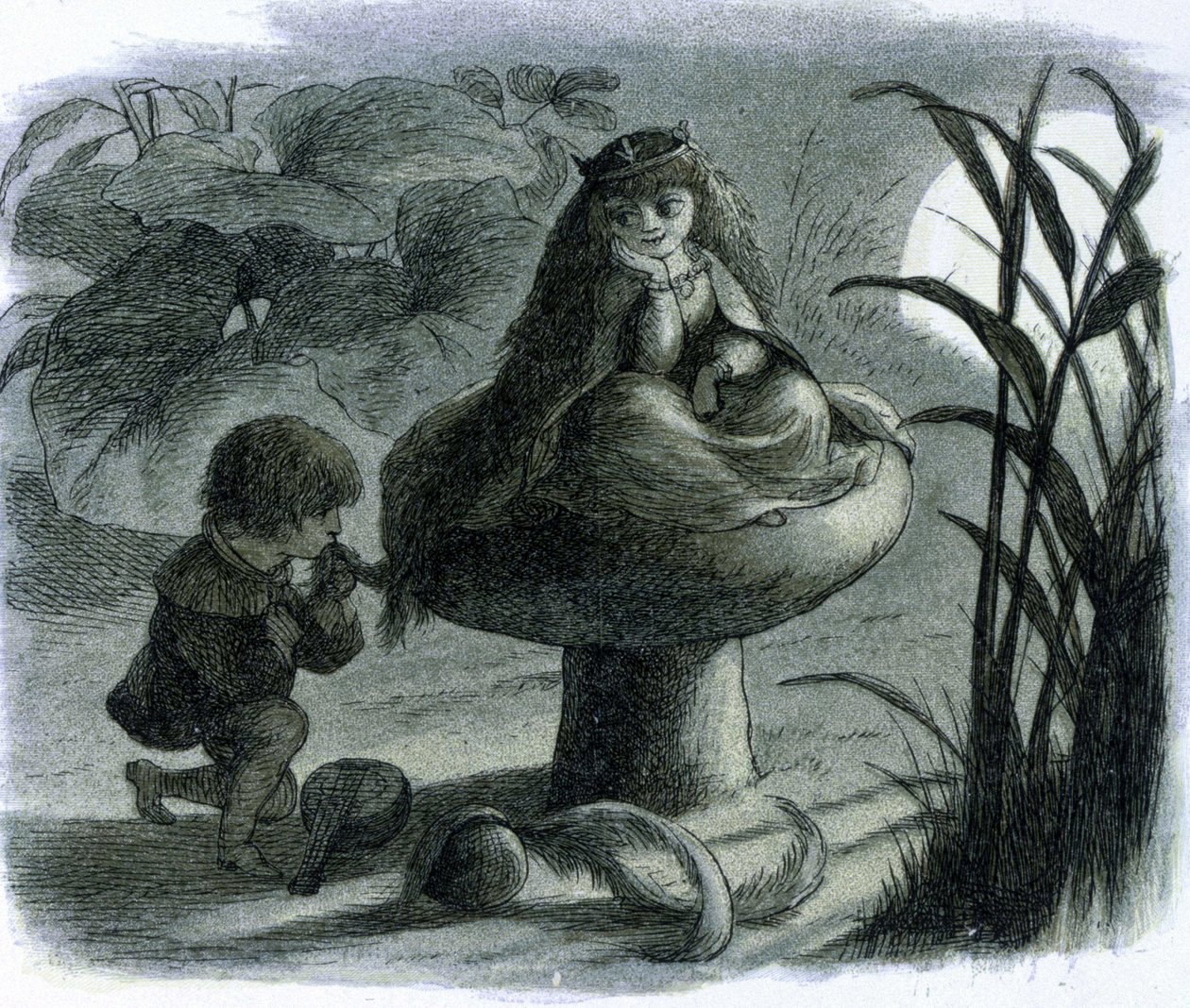 En vannfe som sitter på en sopp blir kurtisert av en elsker. I ""World of Fairies"" av Richard Doyle av Richard Doyle