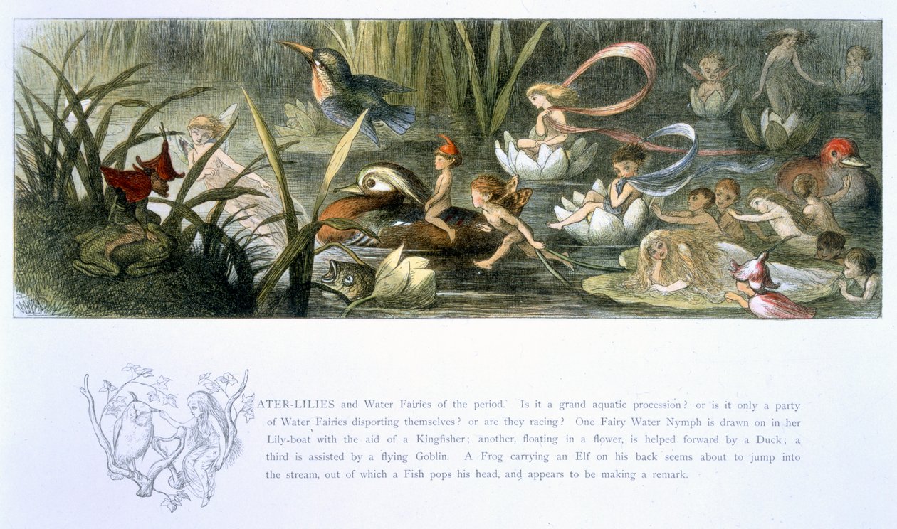 Water-Lilies and Water Fairies, illustrasjon fra 