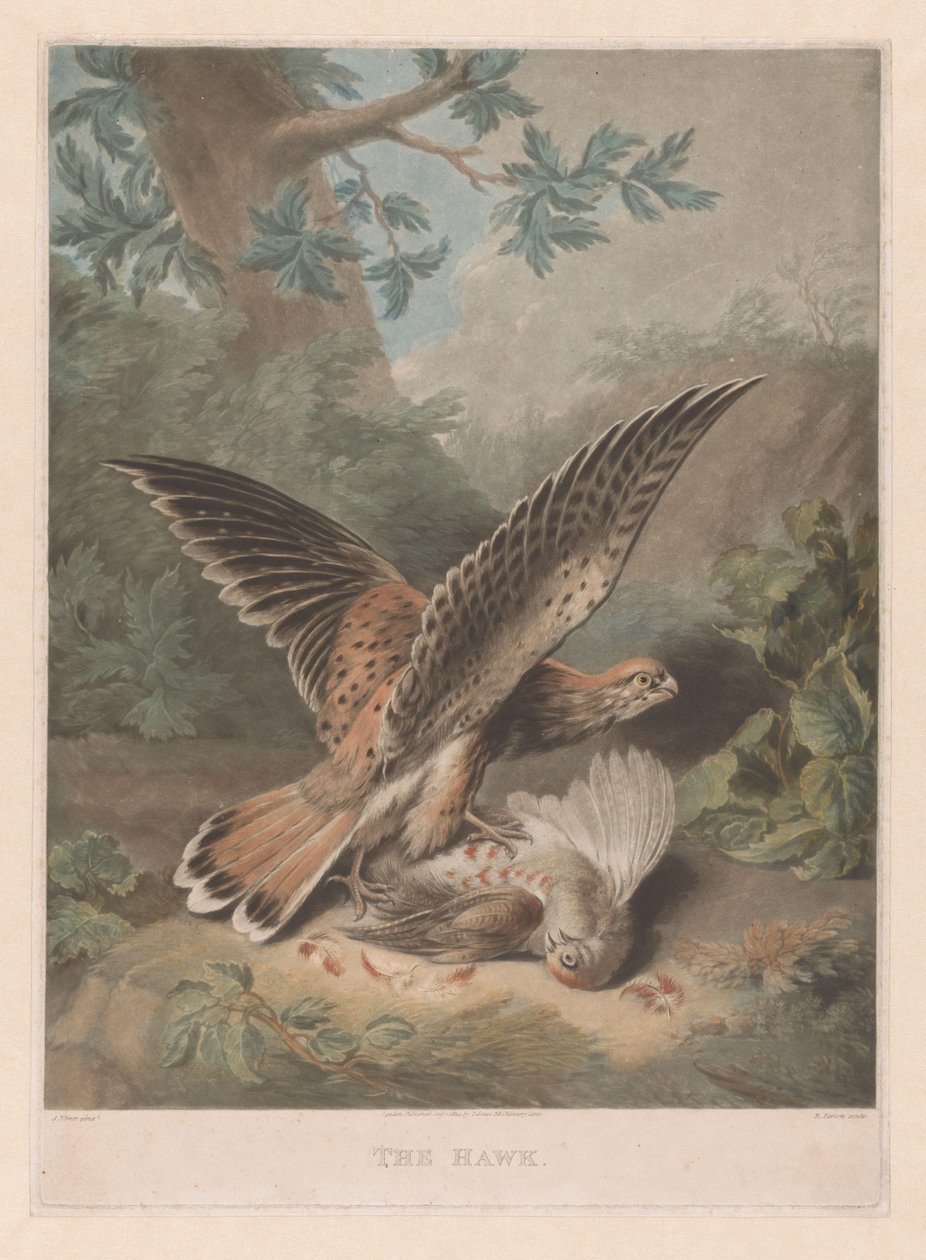 Hawk vokter byttet sitt The Hawk (tittel på objekt) av Richard Earlom
