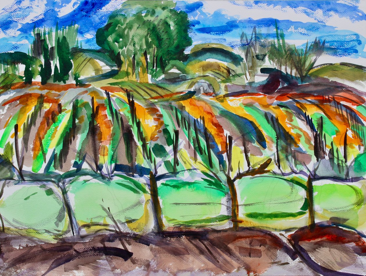 Autumn Vineyards, Napa, 2017 av Richard Fox