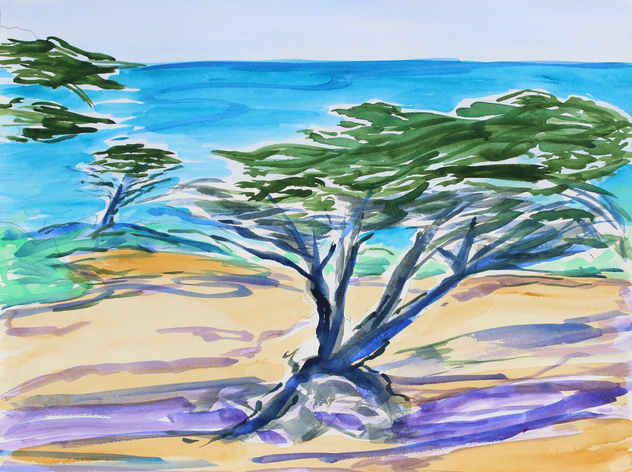 Cypress Tree, Carmel Bay, 2019 av Richard Fox