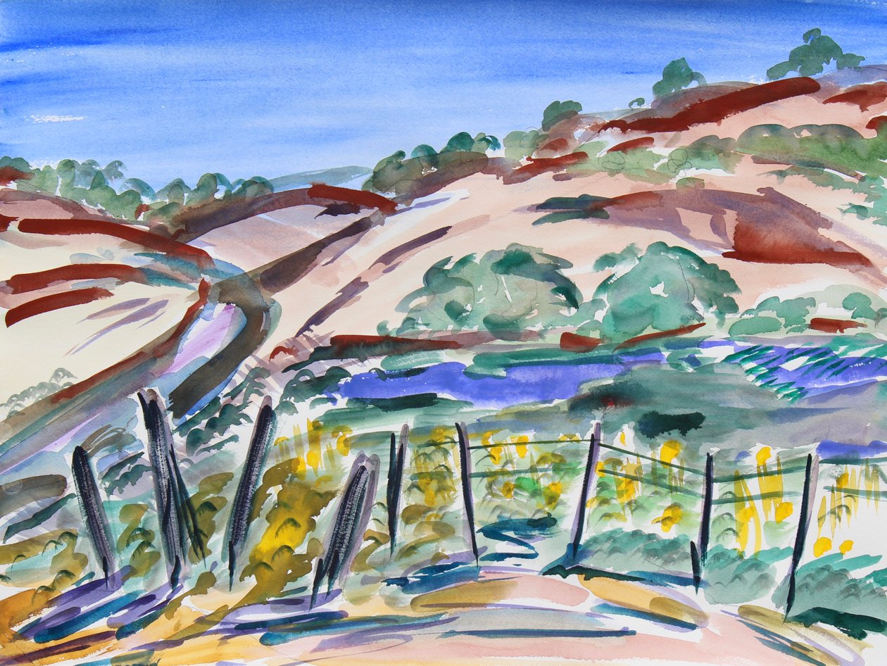 Dry Hills, Nord-California, 2021 (akvarell på papir) av Richard Fox