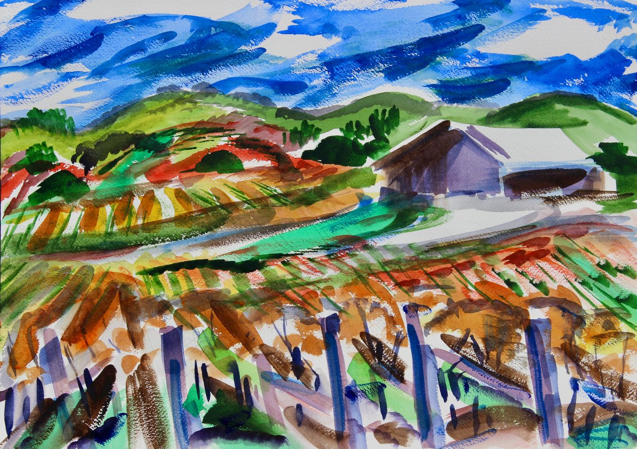 Napa i høst, 2017 av Richard Fox