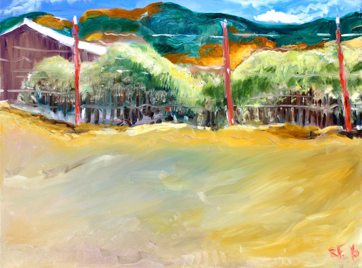 Vineyard, Sonoma, 2017 av Richard Fox