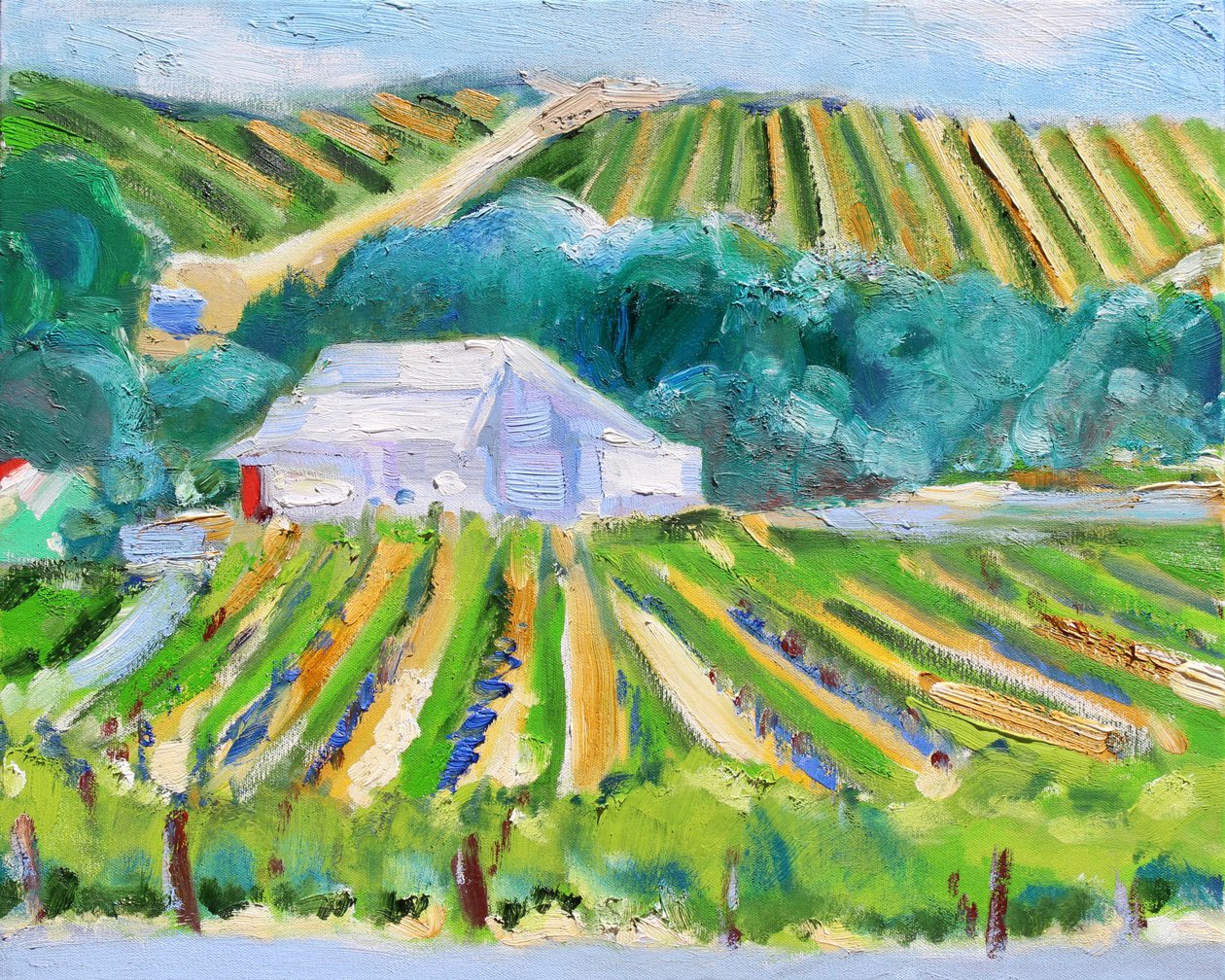 White Barn and Vineyard, Napa, 2019 av Richard Fox