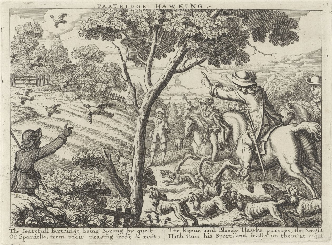 Jacht op patrijsvogels Partridge Hawking (tittel på objekt) Jachtpartijen (serietittel) Flere måter å jakte, hauking og fiske på, ifølge den engelske måten (serietittel) av Richard Gaywood (possibly)