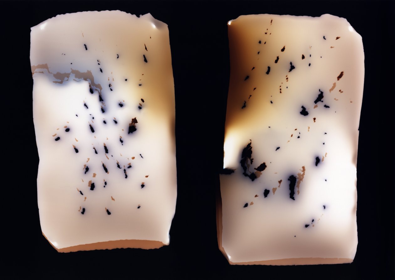 Uten tittel (dobbeltstudie), 2001 av Richard Green