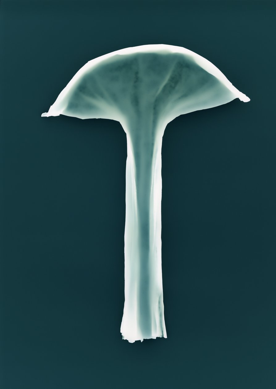 Uten tittel, 2003 av Richard Green