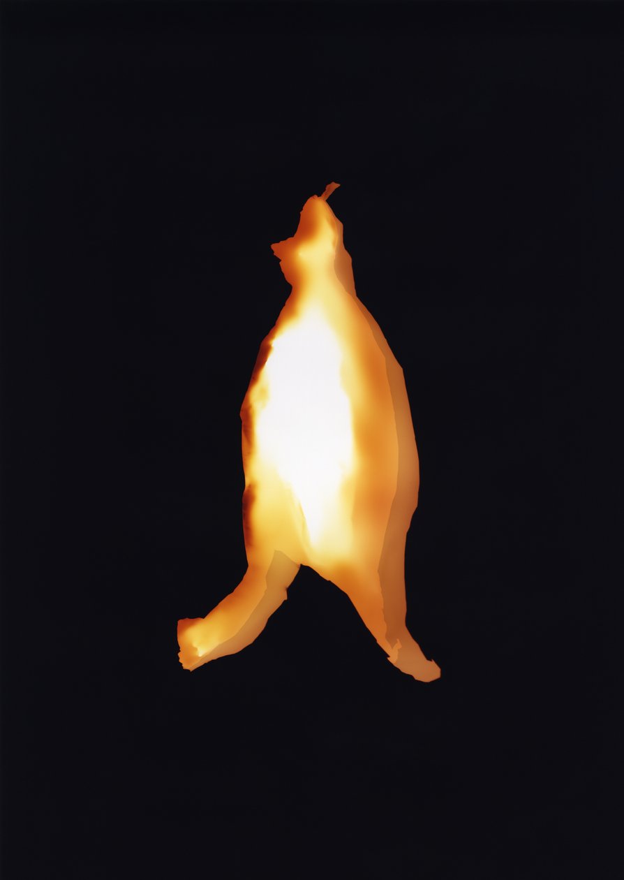 Uten tittel, 2004 av Richard Green