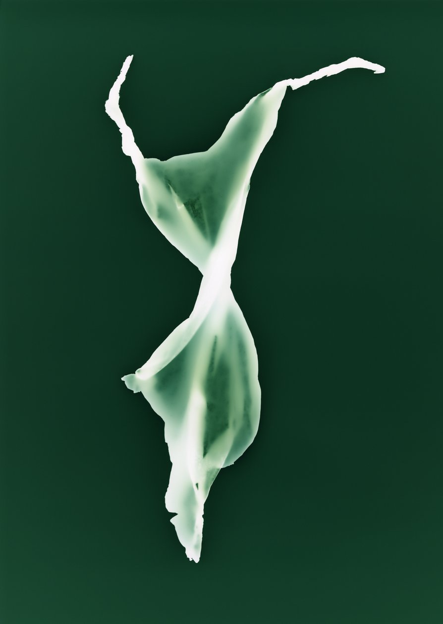Uten tittel, 2004 av Richard Green