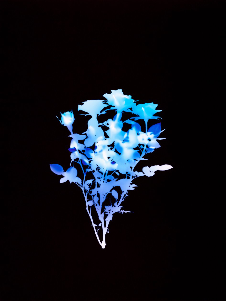 Uten tittel, 2008 av Richard Green