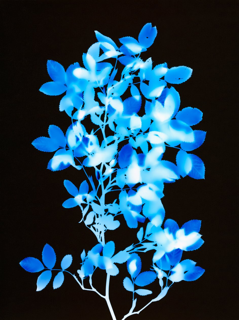 Uten tittel, 2008 av Richard Green