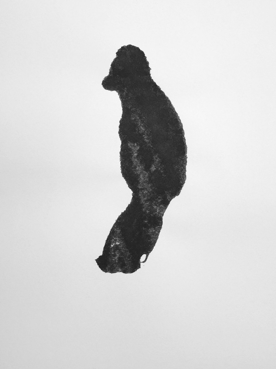  av Richard Green